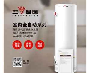 DZF160-048型號(hào)熱水器